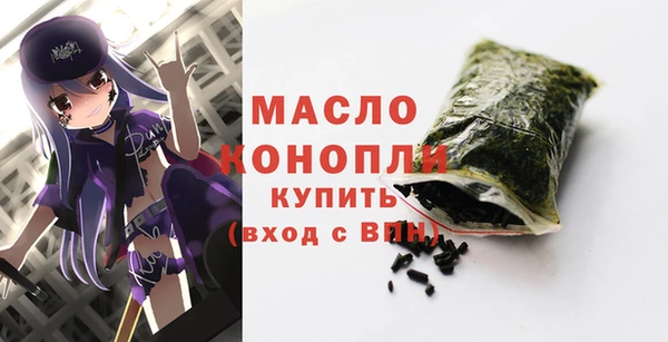 мдпв Инта