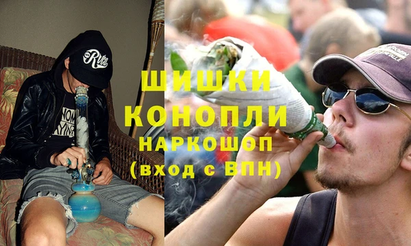 мдпв Инта
