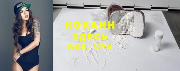 гидра Каменногорск