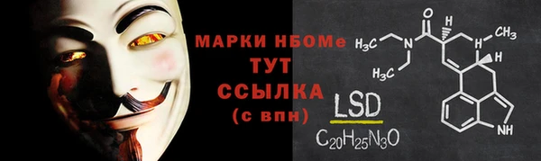 прущие грибы Каменка