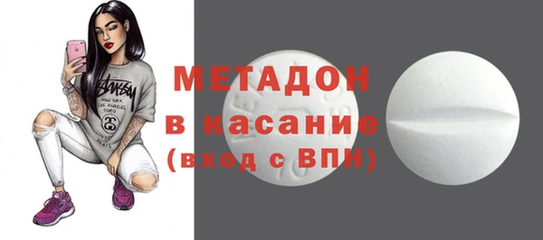прущие грибы Каменка