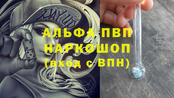 мдпв Инта