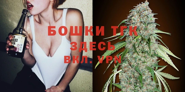 сатива Нестеровская