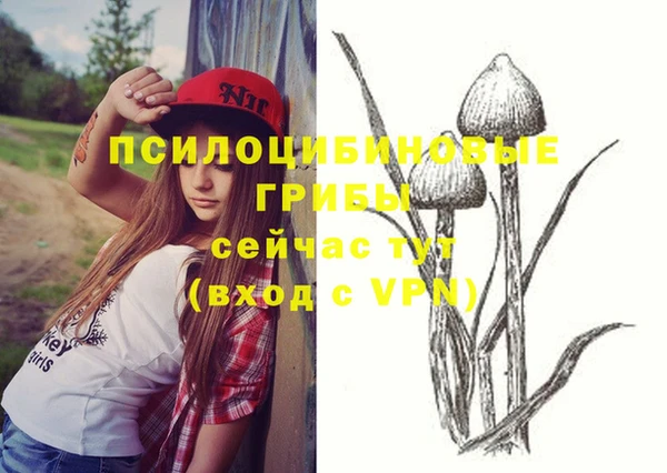 мдпв Инта